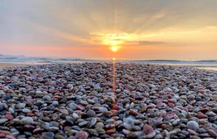 Suoi Nuoc Resort Mui Ne Luaran gambar