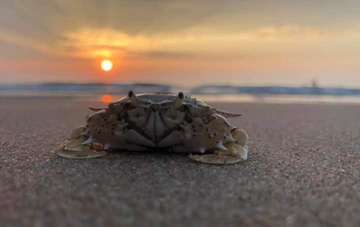 Suoi Nuoc Resort Mui Ne Luaran gambar