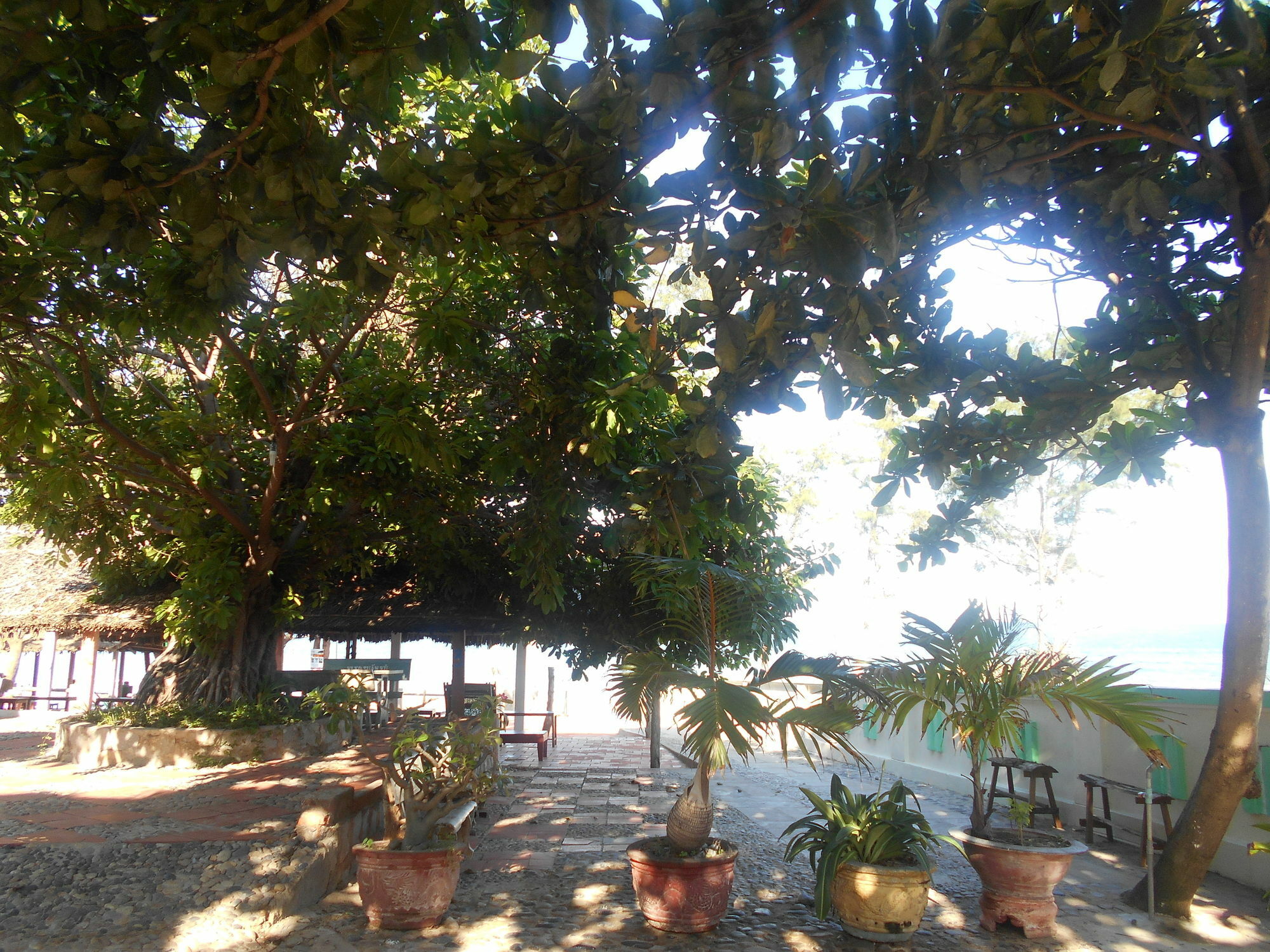 Suoi Nuoc Resort Mui Ne Luaran gambar